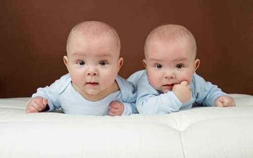 广西供卵生儿子_双胞胎被说试管婴儿，谢娜首次回应，网友：没那个基因是生