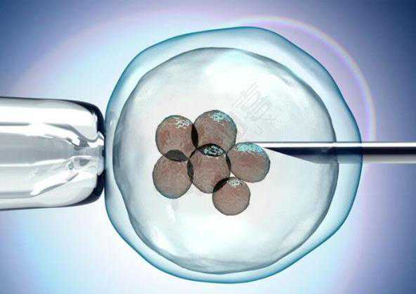胚胎移植前后注意事项有哪些